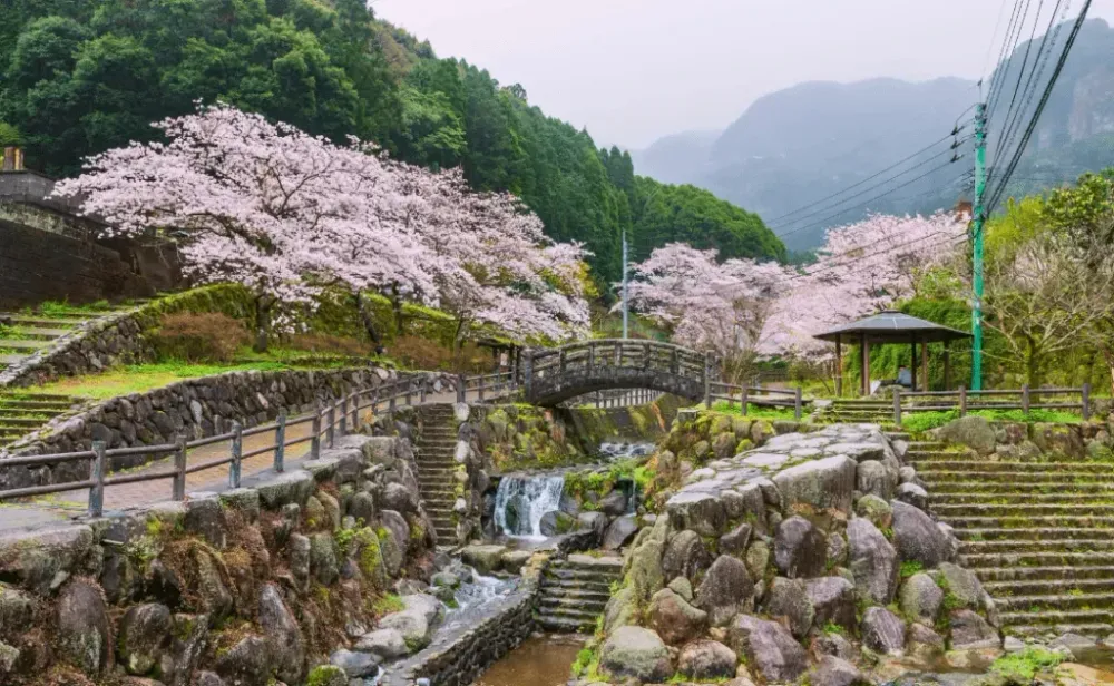 Park with cascading water and skura tunnel at Okawachiyama, Imari